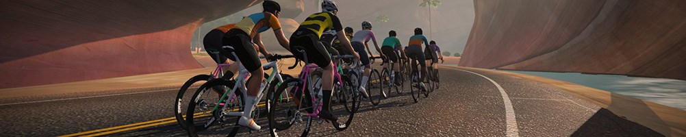 Zwift Compatibility 